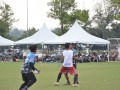 Tn dsc 2312
